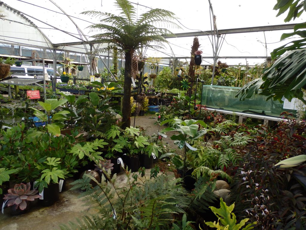 Slide 2 The Plant Place