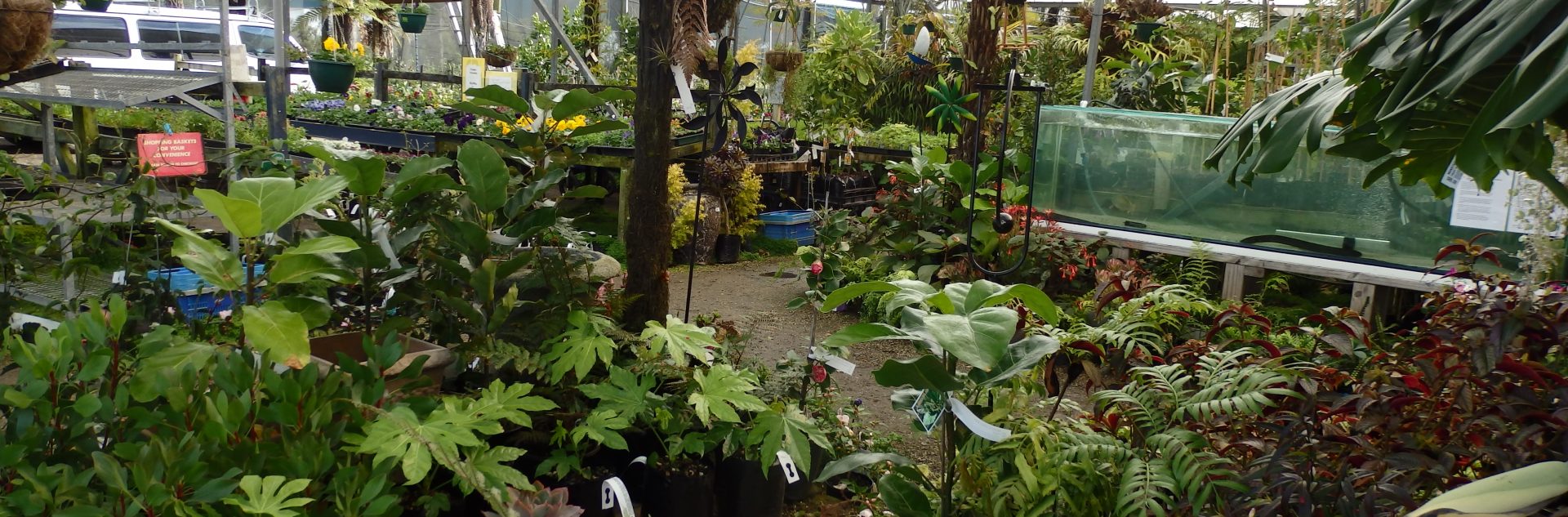 The Plant Place Largest Garden Center In Hamilton